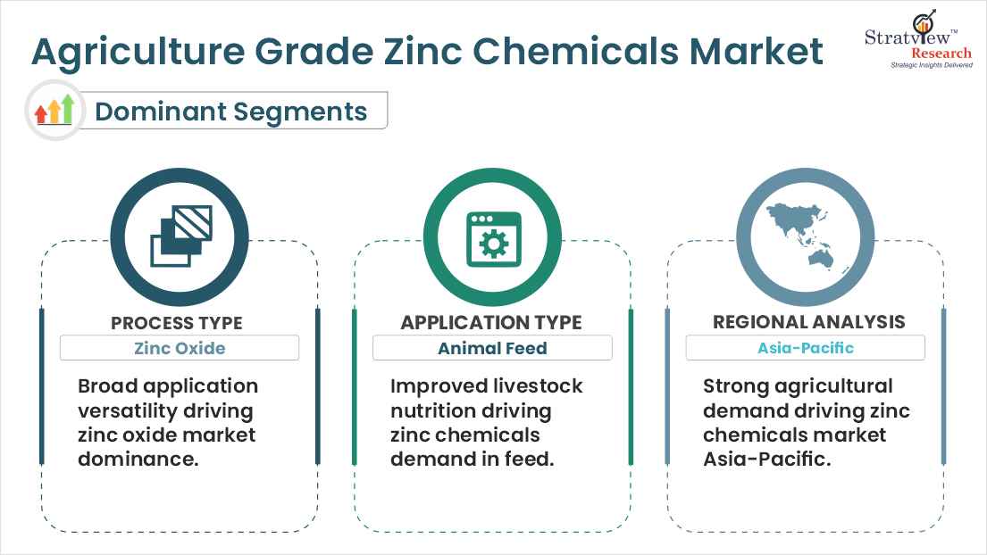 agriculture grade zinc chemicals market segments